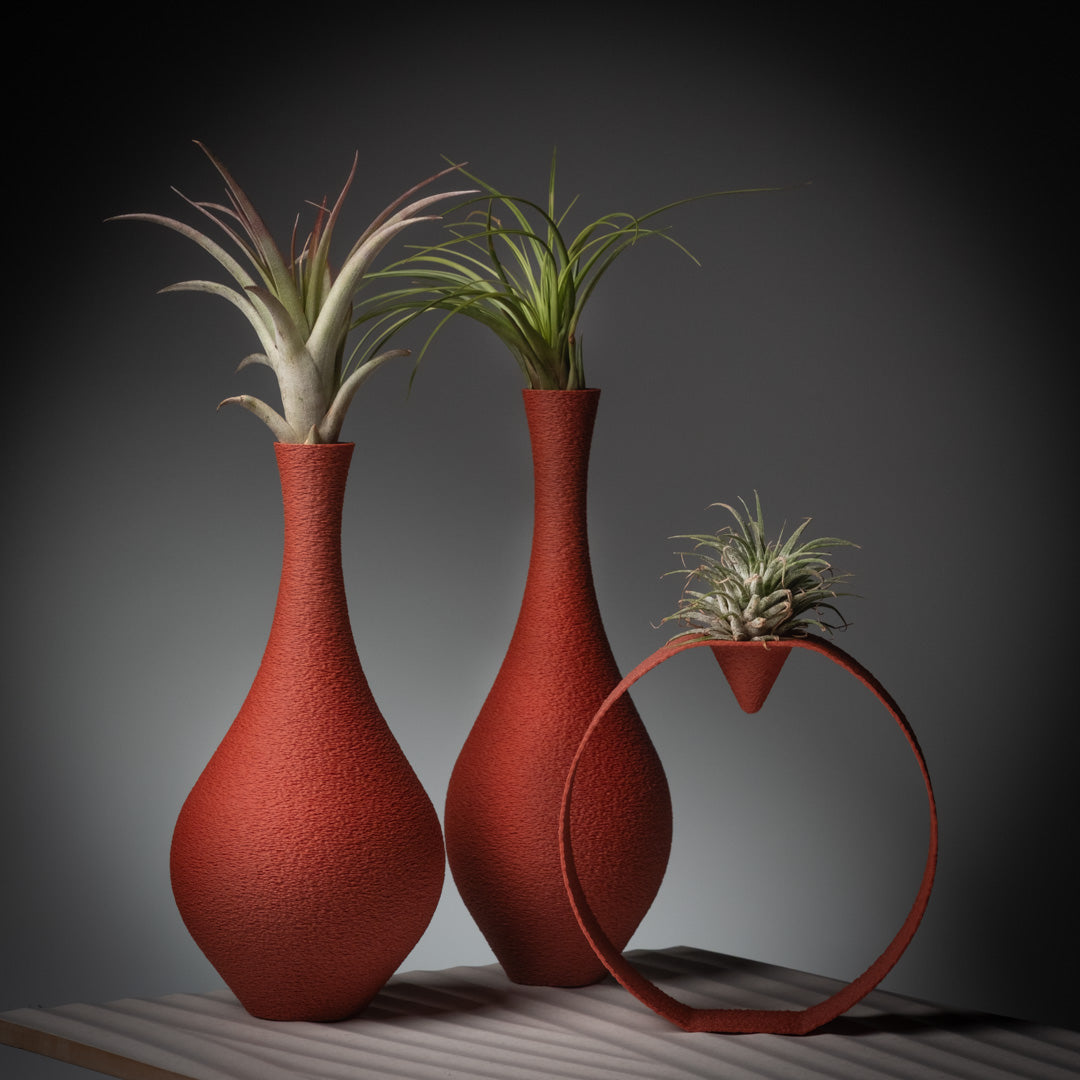 Tillandsia Suite