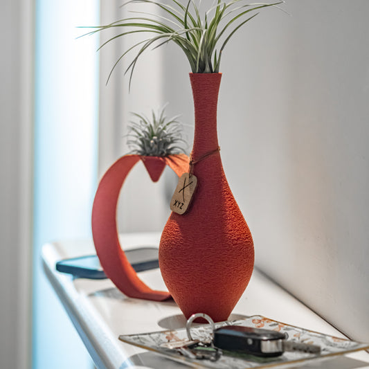 Tillandsia Suite